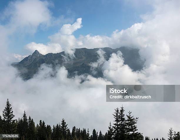 Alpi Montafon - Fotografie stock e altre immagini di Albero - Albero, Alpi, Ambientazione esterna