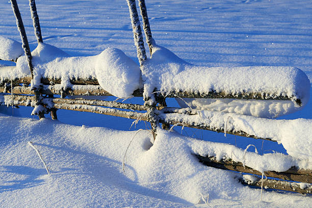 winter landscape trees in frost and fog. Beauty world