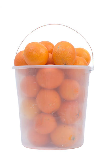 orange in bucket - oranges in bucket