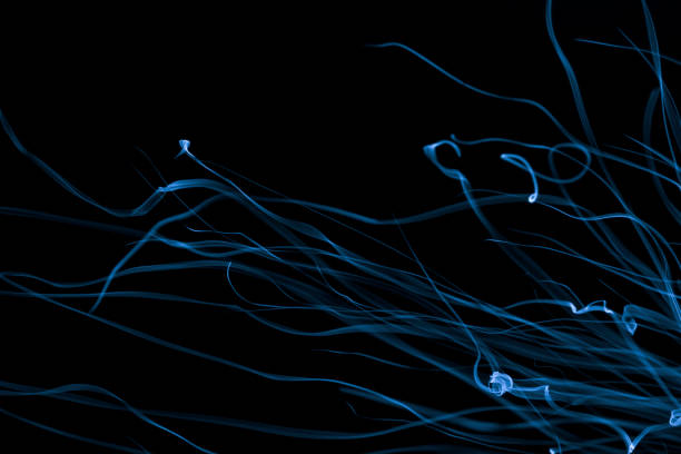 istock light ribbons of sparks on a black background, long exposure 1752641614