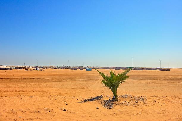 Walvis Bay Public Housing In Desert