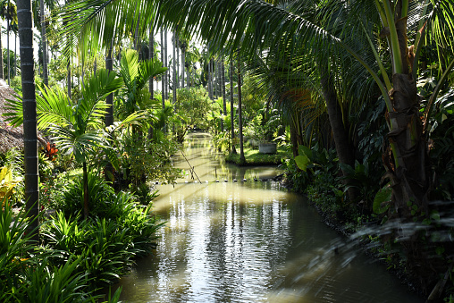 Fresh green garden, tropical style, with a canal in the middle between the trees.