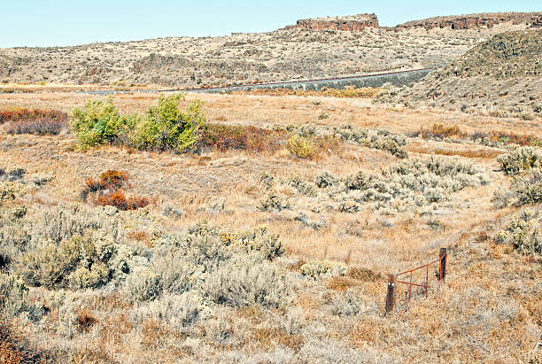 istock Gate and road through Potholes area of central Washington state 175264585
