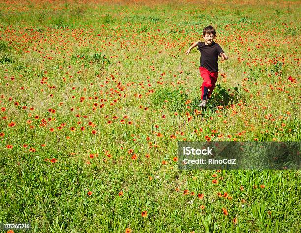 笑う少年ランニングポピーの草地 - ケシのストックフォトや画像を多数ご用意 - ケシ, 子供, 田畑