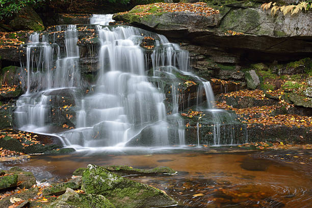 elakala falls - monongahela national forest landscapes nature waterfall fotografías e imágenes de stock