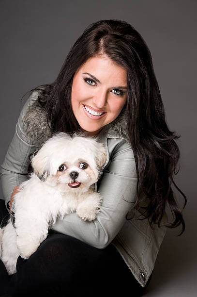 Beautiful Woman Holding Shih Tzu Poodle Dog Beautiful Woman Smiling Holding Shih Tzu Poodle Dog on Gray Background shitzu looking at camera white glamour stock pictures, royalty-free photos & images