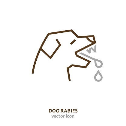 Rabies in dogs sign. Zoonotic disease linear pictogram. Outline symbol. Animal health regulations concept. Graphic design in a simple style. Editable vector illustration isolated on white background.