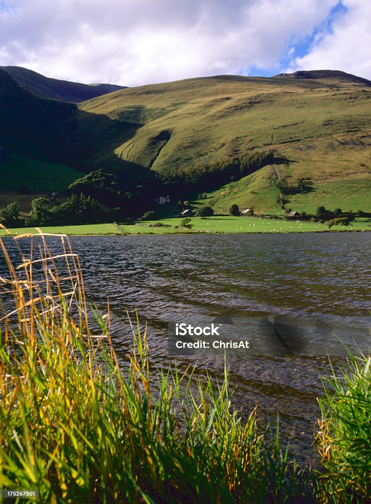 Pittoresque du Pays de Galles-Tal-y-llyn - Photo de Angle de prise de vue libre de droits