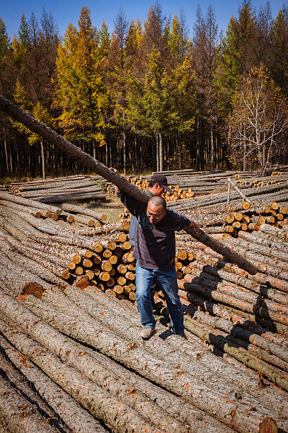 Farm workers carrying a Raw wood
