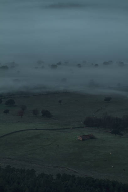 계곡의 안개 - fogs 뉴스 사진 이미지