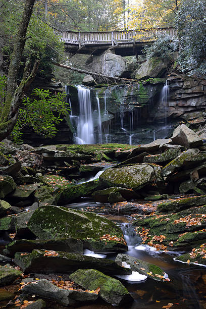 elakala falls - monongahela national forest landscapes nature waterfall fotografías e imágenes de stock