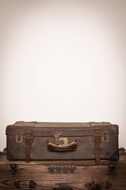 istock Retro Suitcase Sitting on Wood Trunk, With Copy Space 175269233