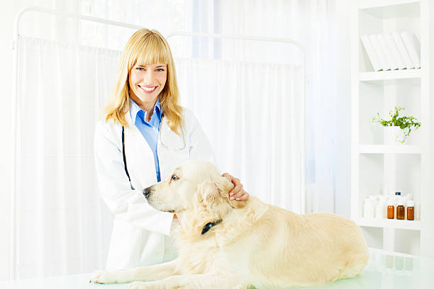 istock Young Female Veterinary Care About Dog. 175269537