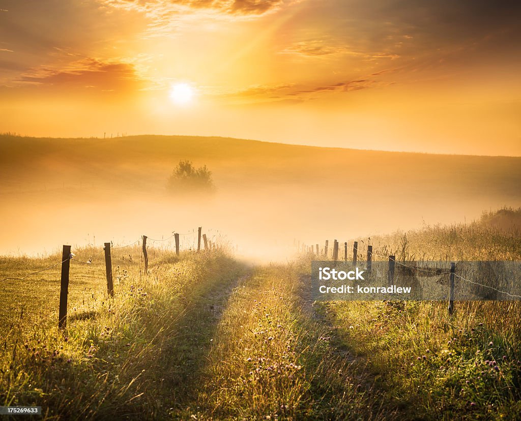 Farm Road in direzione della nebbia Valle HDR tramonto paesaggio - Foto stock royalty-free di Sentiero
