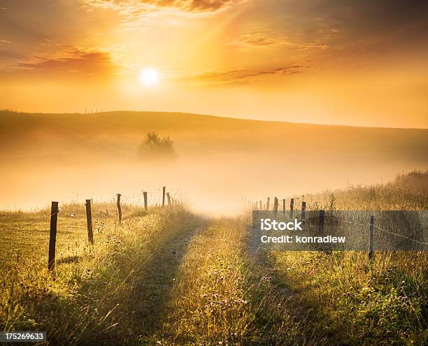 ファーム Road へ向かうフォギーヴァレイ Hdr の夕日の風景 - 一本道のストックフォトや画像を多数ご用意 - 一本道, 小道, なだらかな起伏のある地形