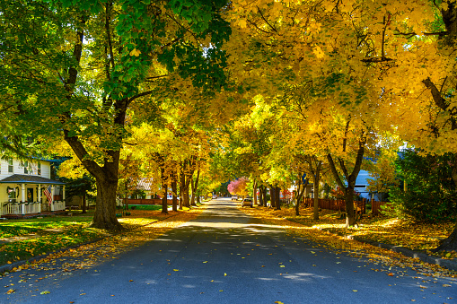 A treelined street of historic turn of the century homes at autumn in the downtown Sanders Beach lakefront residential district in Coeur d'Alene, Idaho, USA. Coeur d’Alene is a city in northwest Idaho. It’s known for water sports on Lake Coeur d’Alene, plus trails in the Canfield Mountain Natural Area and Coeur d’Alene National Forest. McEuen Park offers a grassy lawn and a trailhead for adjacent Tubbs Hill.