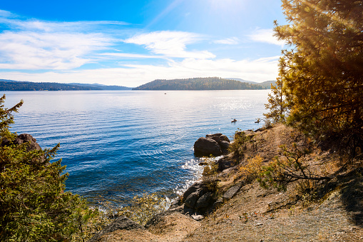 Late afternoon sun and autumn view from the Tubbs Hill hiking trail along the lake in the Northwest Panhandle resort town of Coeur d'Alene, Idaho USA. Tubbs Hill consists of over 120 acres and is bordered by Lake Coeur d'Alene on the west, south and east sides. Coeur d’Alene is a city in northwest Idaho. It’s known for water sports on Lake Coeur d’Alene, plus trails in the Canfield Mountain Natural Area and Coeur d’Alene National Forest. McEuen Park offers a grassy lawn and a trailhead for adjacent Tubbs Hill. The lakeside City Park & Beach includes picnic areas and a playground.