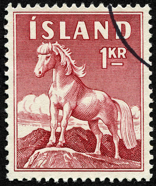 istock Iceland Horse Stamp 175270510