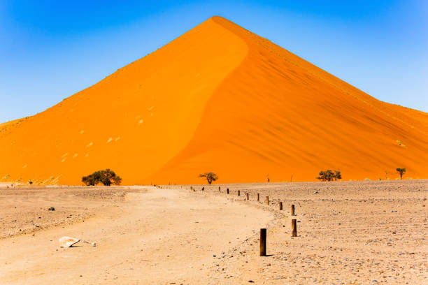 istock The famous dune Number 45 1752708808