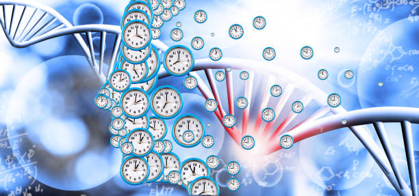 istock Abstract image of a person's profile symbolically composed of dials of different sizes 1752714394