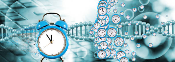 istock Abstract image of a person's profile symbolically composed of dials of different sizes 1752714418