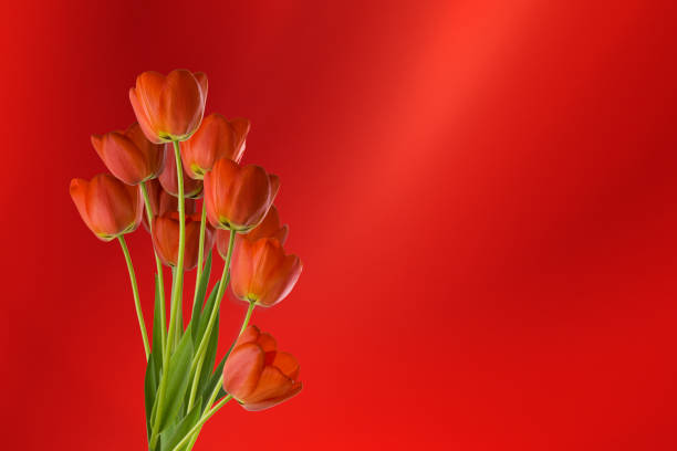 Image of bouquet colorful spring flowers