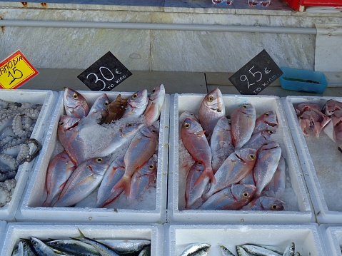 Common pandora, or Pagellus erythrinus fish, in a market
