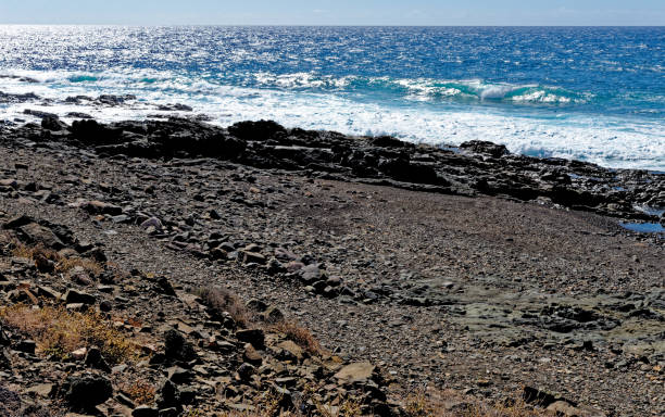 playa aguas verdes - fuerteventura, isole canarie, spagna - light sea low tide fuerteventura foto e immagini stock