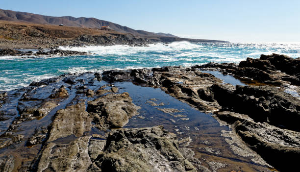 piscina rocciosa a playa del valle - fuerteventura - light sea low tide fuerteventura foto e immagini stock