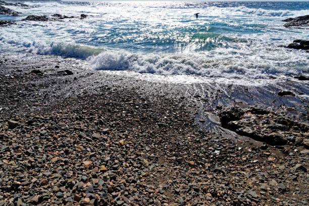spiaggia rocciosa aguas verdes - fuerteventura, isole canarie, spagna - light sea low tide fuerteventura foto e immagini stock