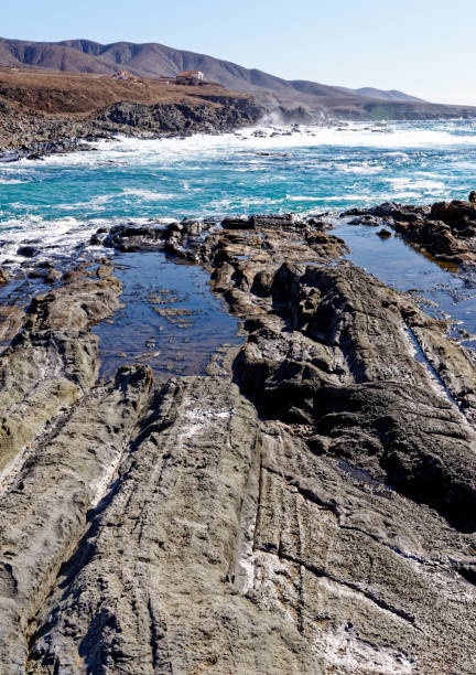 rock pool coast in playa del valle - fuerteventura - light sea low tide fuerteventura imagens e fotografias de stock