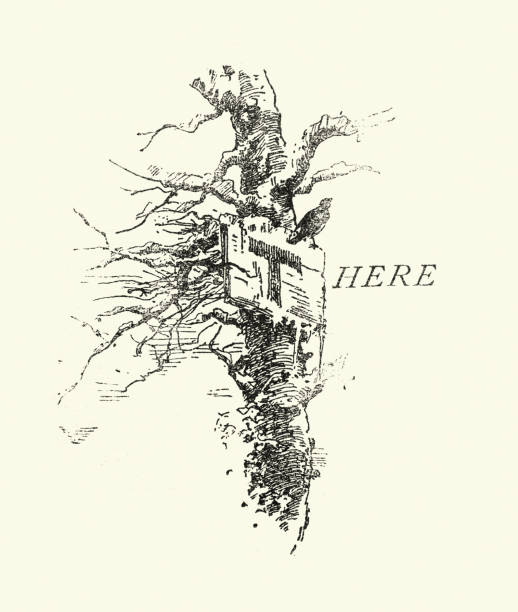 illustrations, cliparts, dessins animés et icônes de lettre majuscule t, là, sur un panneau cloué à un arbre, victorien, 19ème siècle - letter t tree typescript alphabet