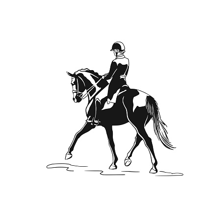 Horse riding dressage banner for equestrian competition