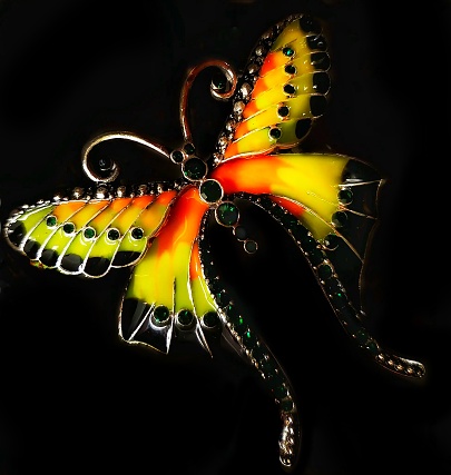 A beautiful butterfly pin against a black background
