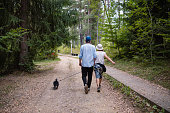 A lovely day in the forest