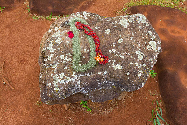 These beautiful flower leis have been placed on the birthing stones in Hawaii on the north shore of Oahu. These historical rocks are the site of where many native queens and kings have been born in the past.