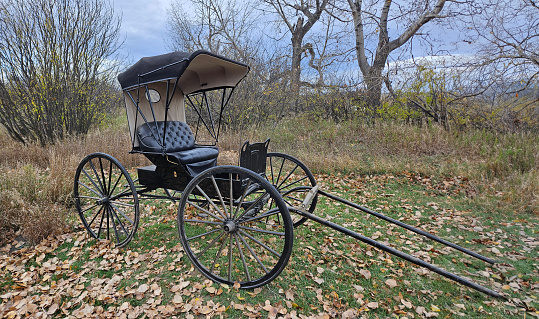 All black 1906 Doctor's Buggy single horse drawn carriage outdoors in grass near trees.