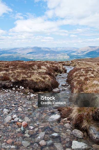 Ben Nevis Cimeira - Fotografias de stock e mais imagens de Ao Ar Livre - Ao Ar Livre, Ben Nevis, Cordilheira - Montanha