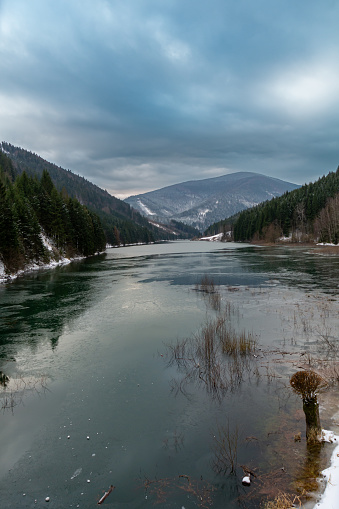 Frozen lake in mountain range surrounded by fir tree's during winter in Europe.
Image taken during winter 2020 in the Czech Republic.