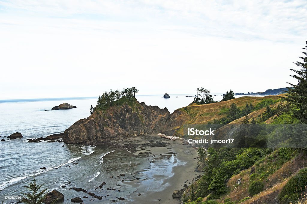 Au-dessus de la côte de l'Oregon - Photo de Arbre libre de droits