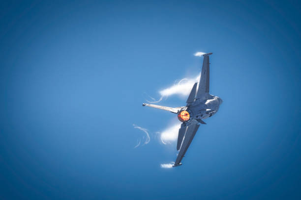 Viper Demonstration stock photo