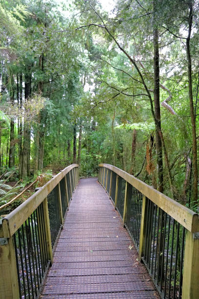 istock New Zealand South Island 1752920996