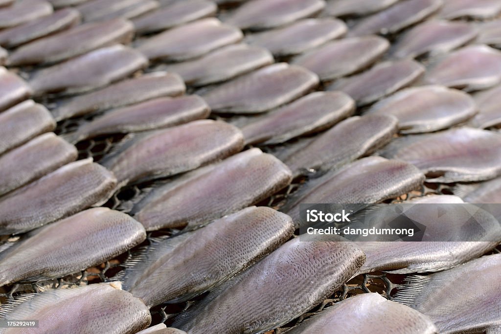 干し魚、太陽の光 - タイ料理のロイヤリティフリーストックフォト