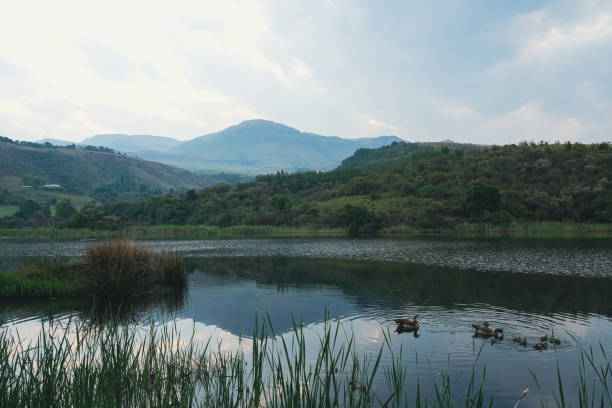 The Drakensberg Mountain Reflection in the Lake