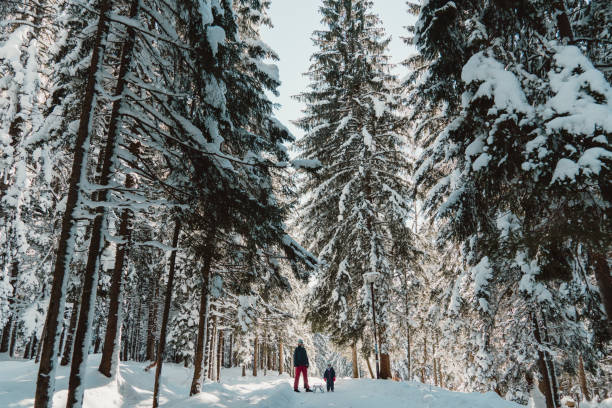 istock Mother with daughter in snow covered mountain 1752948676