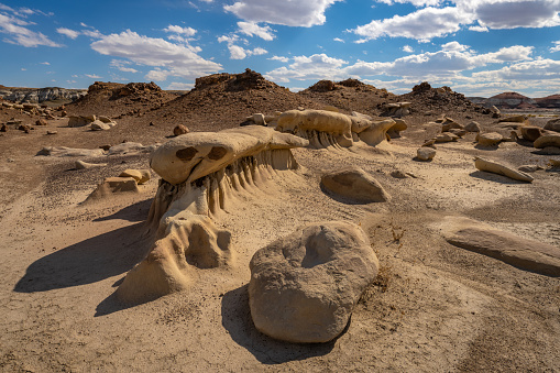 Desert dry cracked dirt earth sand sun summer hot