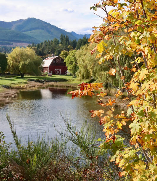 istock Autumn Leaves Framing A Farm And Pond 1752983044