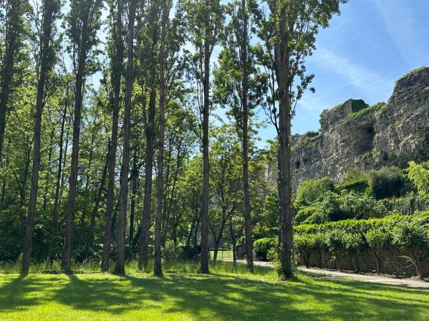 City park near Casemates Bock
