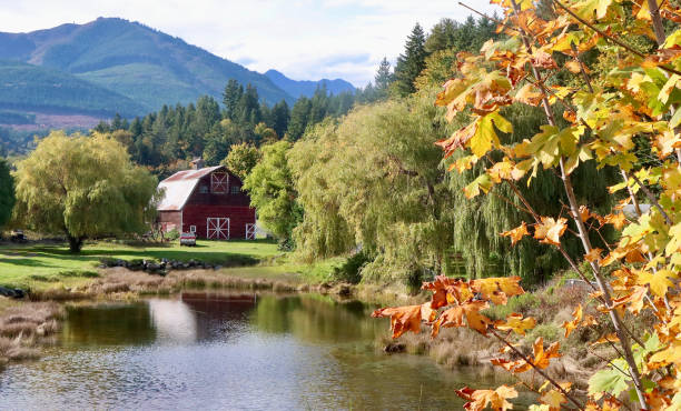 istock Autumn Scene In The Country 1752988652