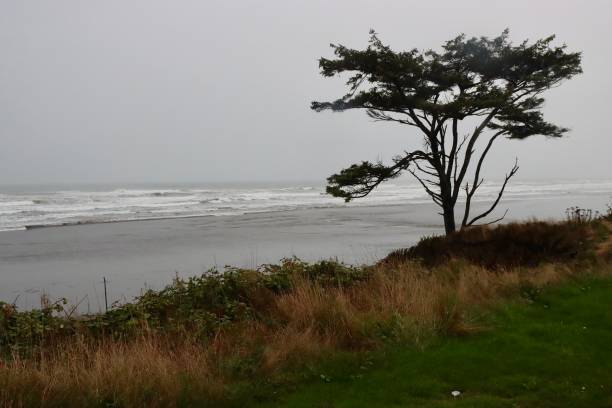 Stormy winter weather at Kalaloch Beach in the Olympic National Park